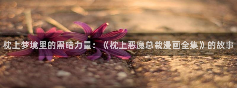 耽漫网
