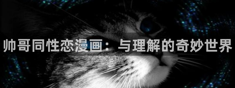 耽漫网之家动漫之家